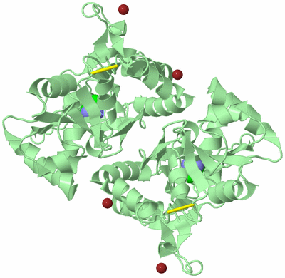 Image Biological Unit 2