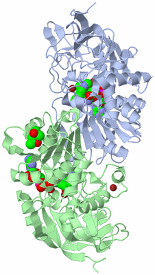 Image Biological Unit 1