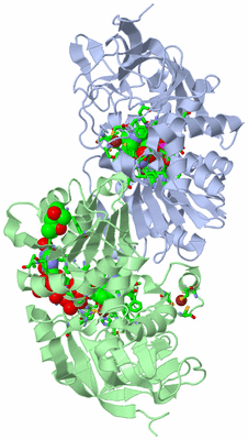 Image Biol. Unit 1 - sites