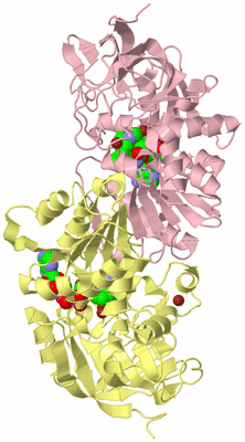 Image Biological Unit 2