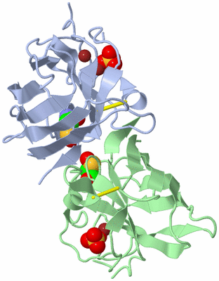 Image Biological Unit 1