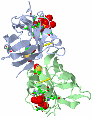 Image Biol. Unit 1 - sites