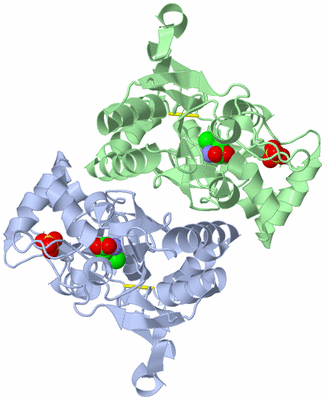 Image Asym./Biol. Unit