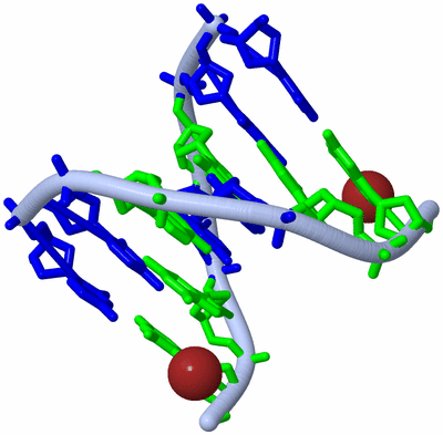 Image Biological Unit 1