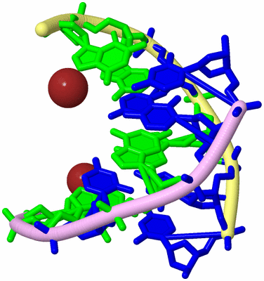 Image Biological Unit 3