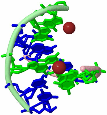 Image Biological Unit 2