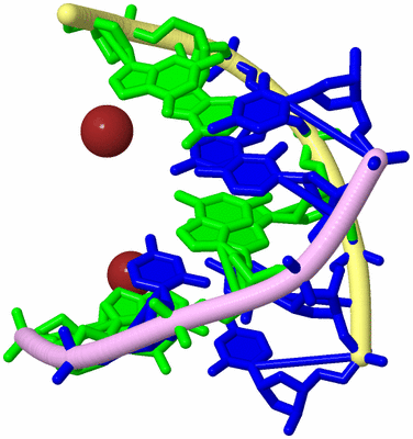 Image Biological Unit 3