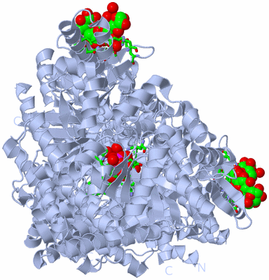 Image Biol. Unit 1 - sites