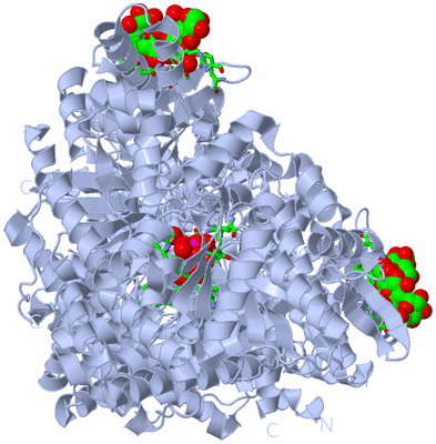 Image Biol. Unit 1 - sites