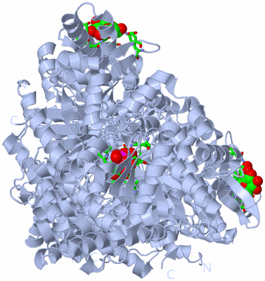 Image Biol. Unit 1 - sites