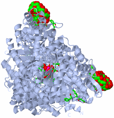 Image Biol. Unit 1 - sites