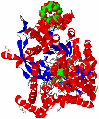 Image Asym. Unit - sites