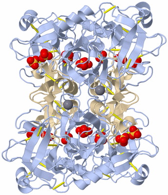 Image Biological Unit 2