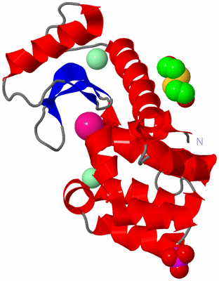 Image Asym./Biol. Unit