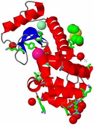 Image Asym./Biol. Unit - sites