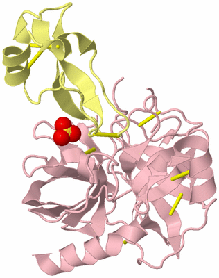 Image Biological Unit 2