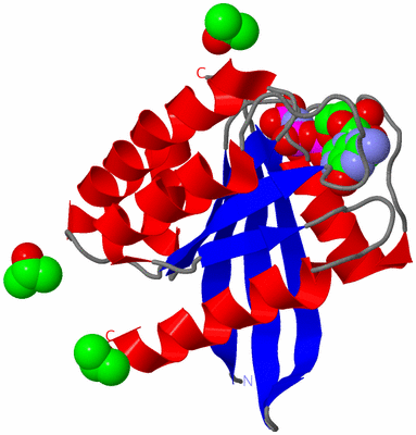 Image Asym./Biol. Unit
