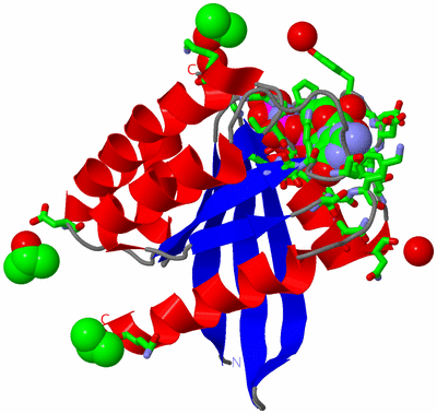 Image Asym./Biol. Unit - sites