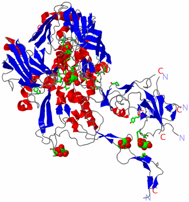 Image Asym. Unit - sites