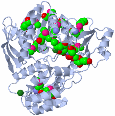 Image Biological Unit 1