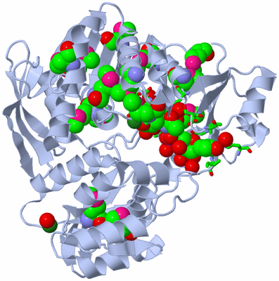 Image Biol. Unit 1 - sites