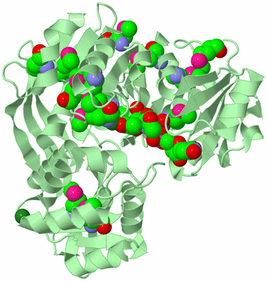 Image Biological Unit 2