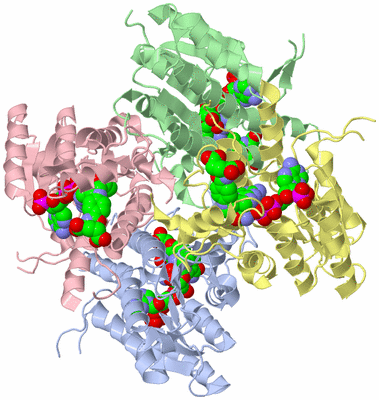 Image Asym./Biol. Unit