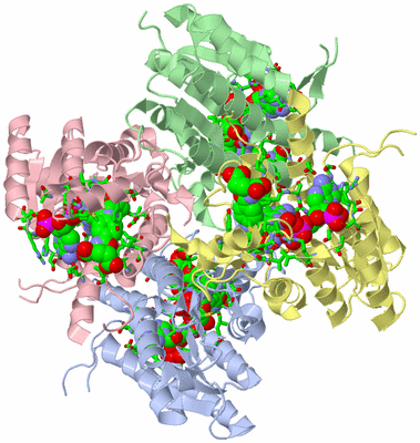 Image Asym./Biol. Unit - sites