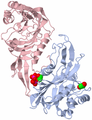 Image Biological Unit 1