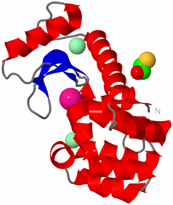 Image Asym./Biol. Unit