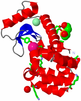 Image Asym./Biol. Unit - sites