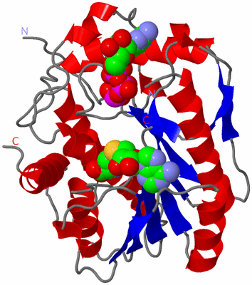 Image Asymmetric Unit