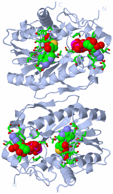 Image Biol. Unit 1 - sites