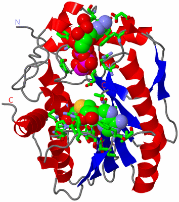 Image Asym. Unit - sites