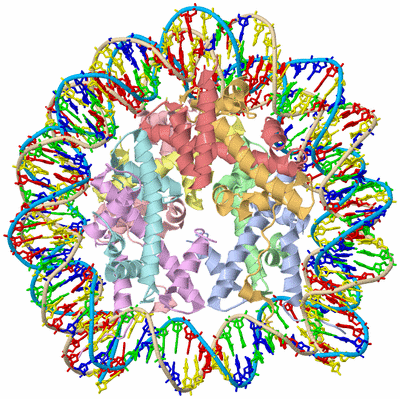 Image Asym./Biol. Unit