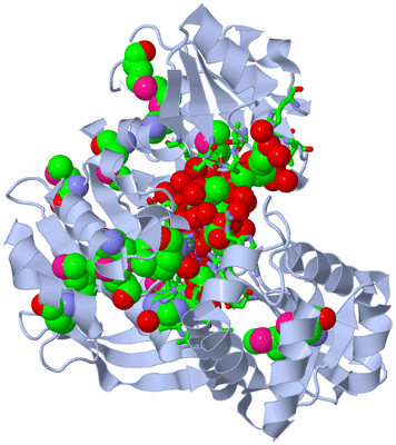 Image Biol. Unit 1 - sites