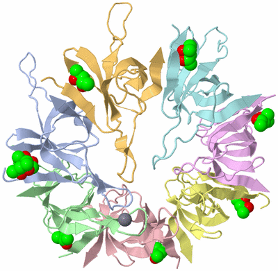 Image Biological Unit 1