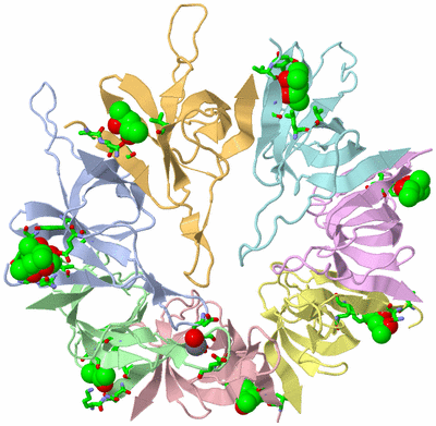 Image Biol. Unit 1 - sites