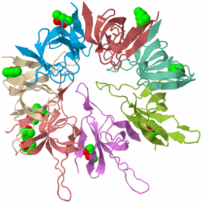 Image Biological Unit 2