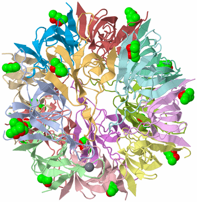 Image Biological Unit 3