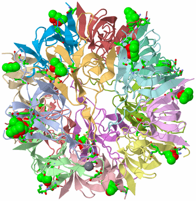 Image Asym. Unit - sites