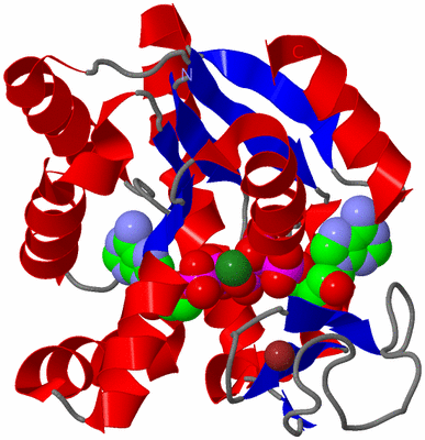 Image Asym./Biol. Unit