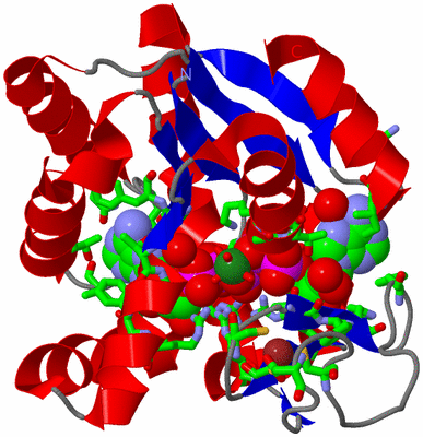 Image Asym./Biol. Unit - sites