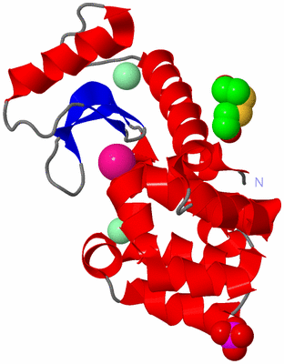 Image Asym./Biol. Unit