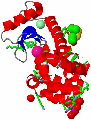 Image Asym./Biol. Unit - sites