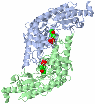 Image Asym./Biol. Unit