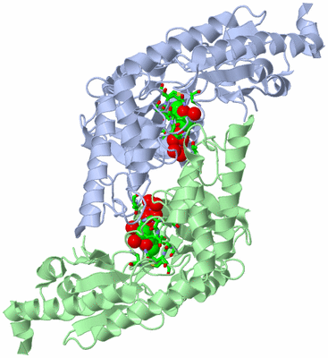 Image Asym./Biol. Unit - sites