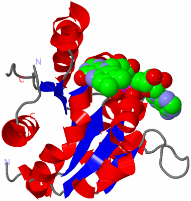 Image Asymmetric Unit