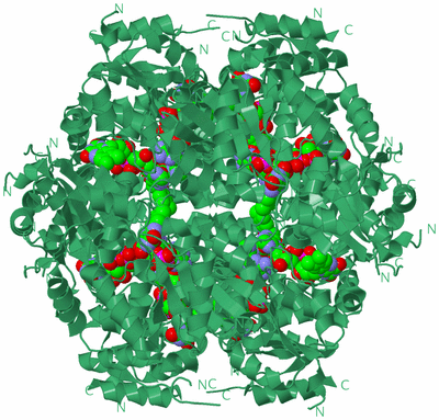Image Biological Unit 1