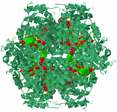 Image Biol. Unit 1 - sites
